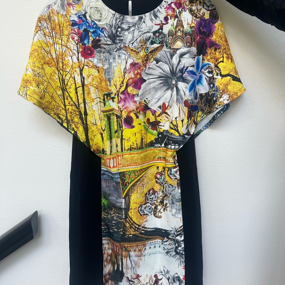 Clover Canyon Multicolor Scenic Print Dress